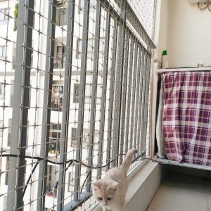 Alternative view of Lưới An Toàn Chống Mèo