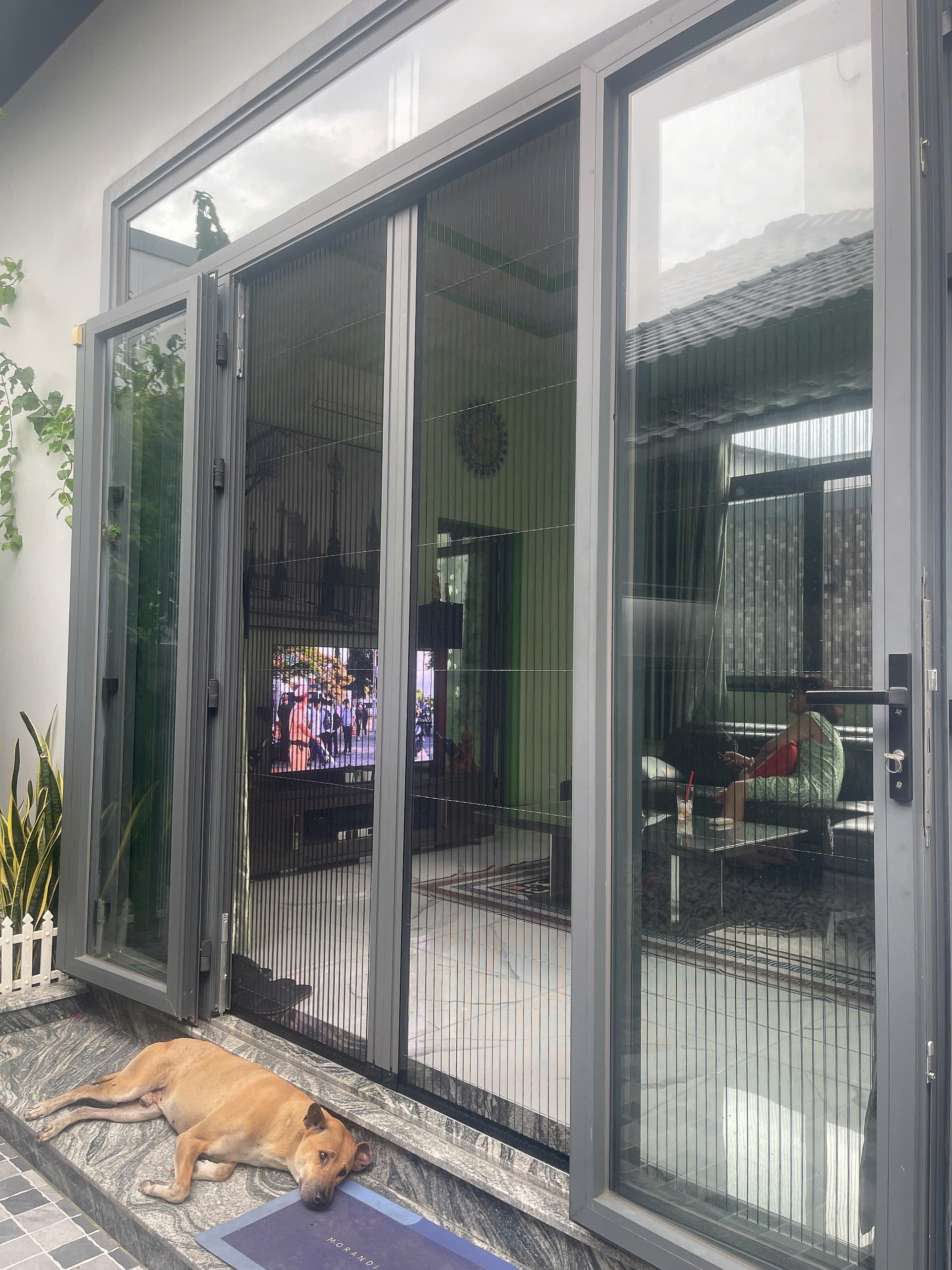 Cửa Lưới Dạng Xếp Inox - Ảnh 8
